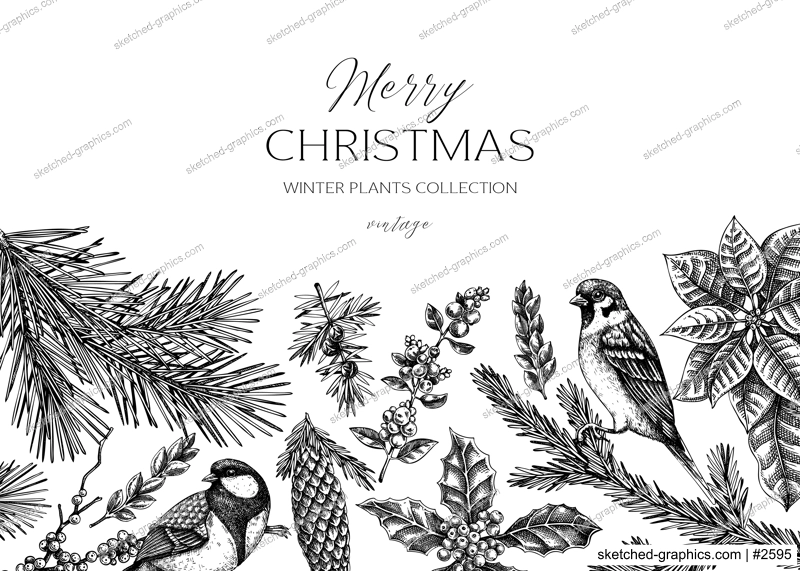 Christmas background design. Winter plants vintage banner. Conifer trees, winter flowers, birds sketches. Hand drawn vector illustration. NOT AI generated