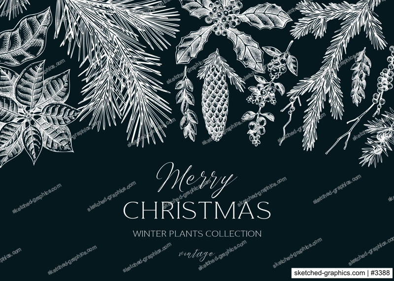Christmas background. Winter plants vintage banner. Conifer trees, winter flowers, birds sketches on chalkboard. Hand drawn vector illustration. NOT AI generated