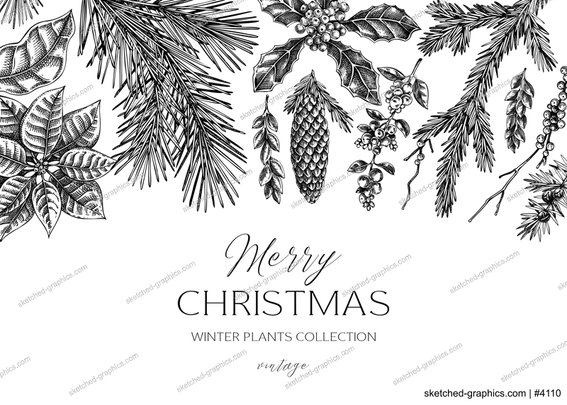 Christmas background design. Winter plants vintage banner. Conifer trees, winter flowers, birds sketches. Hand drawn vector illustration. NOT AI generated