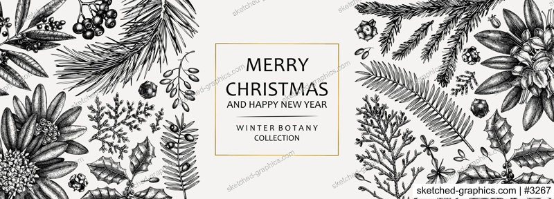 Christmas banner design. Vector frame with hand sketched winter flowers, evergreen plants and conifers. Vintage background with botanical elements. Engraved style vintage winter illustration.
