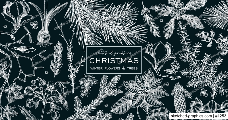 Christmas banner design. Winter plants vintage background. Conifer trees, winter flowers, berry sketches. Hand drawn vector illustration on chalkboard. NOT AI generated