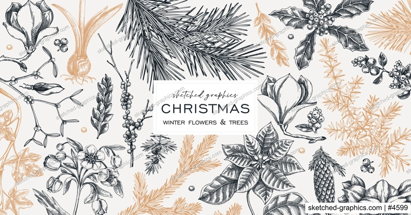 Vintage Christmas banner design. Winter plants background. Conifer trees, winter flowers, berry sketches. Hand drawn vector illustration. NOT AI generated