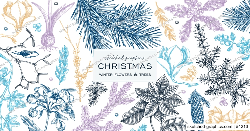 Christmas banner design. Winter plants vintage background. Conifer trees, winter flowers, berry sketches. Hand drawn vector illustration. NOT AI generated