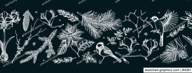 Merry Christmas seamless border. Winter birds and flowers pattern. Conifer trees sketches on chalkboard. Hand-drawn vector background. NOT AI generated