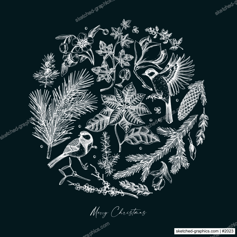 Merry Christmas card. Evergreen plants, flower, bird sketches. Winter vector design on chalkboard. Hand-drawn botanical illustrations. NOT AI generated image