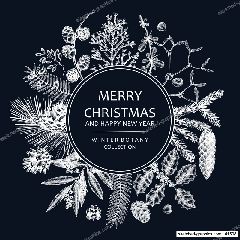 Merry Christmas card  on chalkboard with evergreen plants, conifers, and nuts drawing. Winter design with hand-drawn botanical illustrations. Vintage Christmas background, New Year invitation template