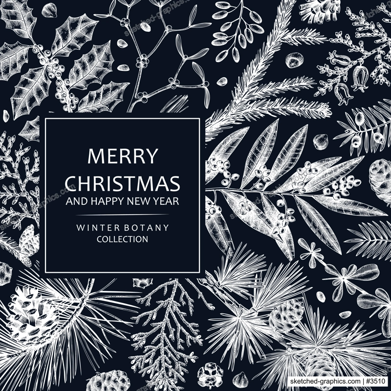 Merry Christmas card  on chalkboard with evergreen plants, conifers, and nuts drawing. Winter design with hand-drawn botanical illustrations. Vintage Christmas background, New Year invitation template