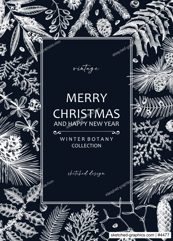 Merry Christmas card  on chalkboard with evergreen plants, conifers, and nuts drawing. Winter design with hand-drawn botanical illustrations. Vintage Christmas background, New Year invitation template