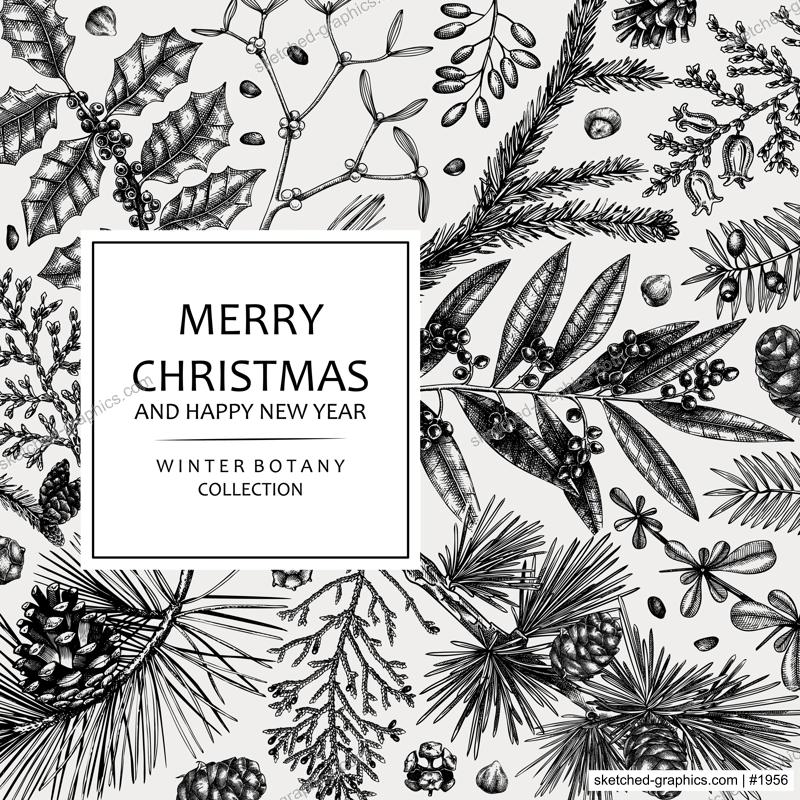 Merry Christmas card. Square frame with evergreen plants, conifers, and nuts drawing. Winter design with hand-drawn botanical illustrations. Christmas background, New Year invitation template