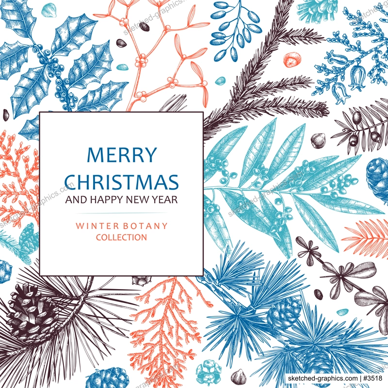 Merry Christmas card in color. Vector frame with evergreen plants, conifers, and nuts drawing. Winter design with hand-drawn botanical illustrations. Christmas background, New Year invitation template