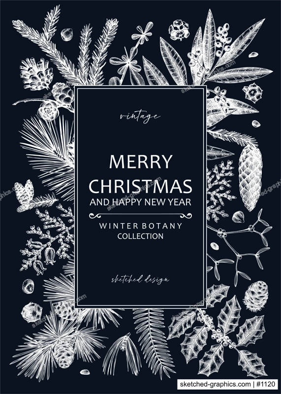 Merry Christmas card  on chalkboard with evergreen plants, conifers, and nuts drawing. Winter design with hand-drawn botanical illustrations. Vintage Christmas background, New Year invitation template