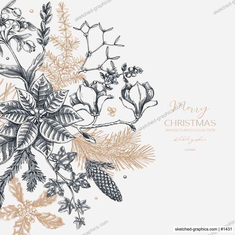 Merry Christmas card. Floral round composition. Evergreen plants, conifers, and cones sketches. Winter vector design.Hand-drawn botanical illustrations. NOT AI generated images