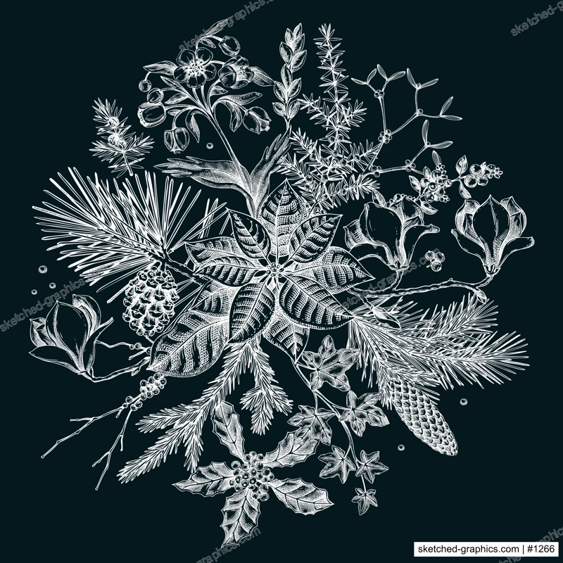 Merry Christmas card template. Evergreen plants, flower, bird sketches. Winter round design on chalkboard. Hand-drawn botanical illustrations. NOT AI generated image