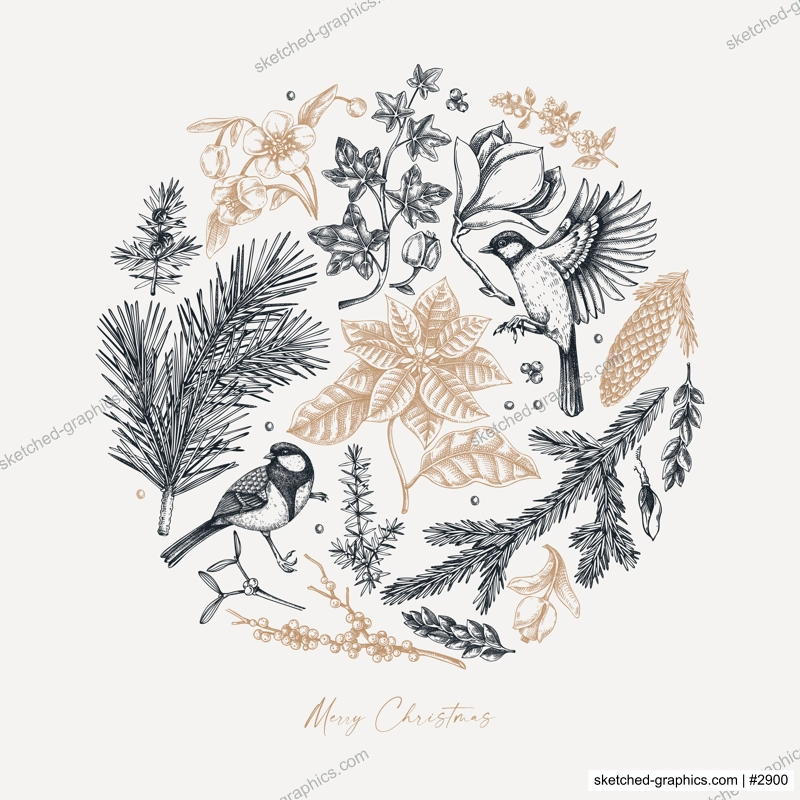 Merry Christmas card template. Evergreen plants, flower, bird sketches. Winter vector design. Hand-drawn botanical illustrations. NOT AI generated image