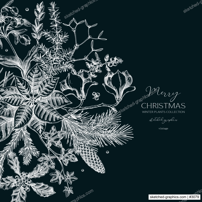 Merry Christmas card template. Evergreen plants, flower, bird sketches. Winter round design on chalkboard. Hand-drawn botanical illustrations. NOT AI generated image