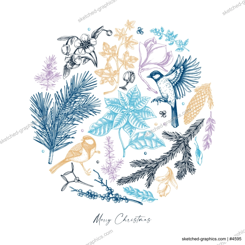 Merry Christmas card template. Evergreen plants, flower, bird sketches. Winter vector design. Hand-drawn botanical illustrations. NOT AI generated image