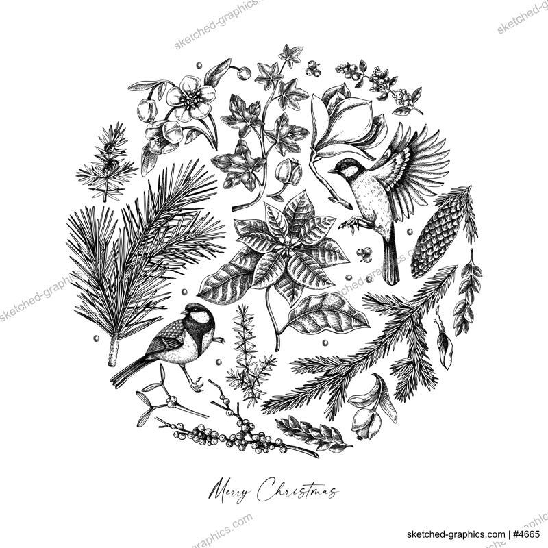 Merry Christmas card template. Evergreen plants, flower, bird sketches. Winter vector design. Hand-drawn botanical illustrations. NOT AI generated image