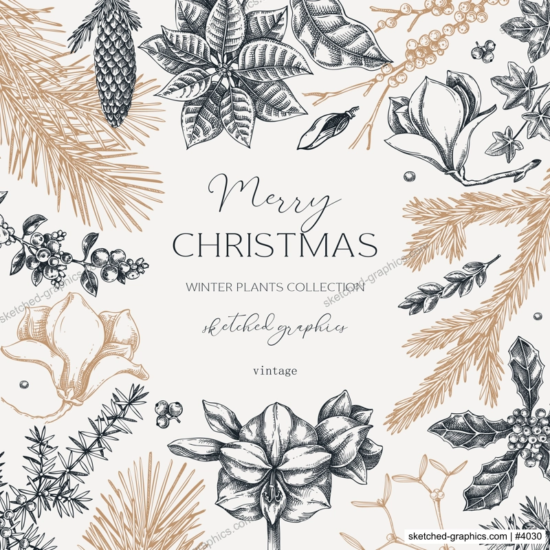 Vintage Christams card template. Winter holiday frame design. Conifer trees, winter flowers sketches. Hand-drawn botanical illustration. NOT AI generated