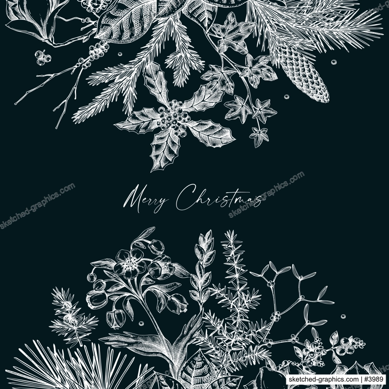 Merry Christmas card. Vintage frame with evergreen plants, conifers, and flower sketches on chalkboard. Hand-drawn botanical illustrations. NOT AI generated image
