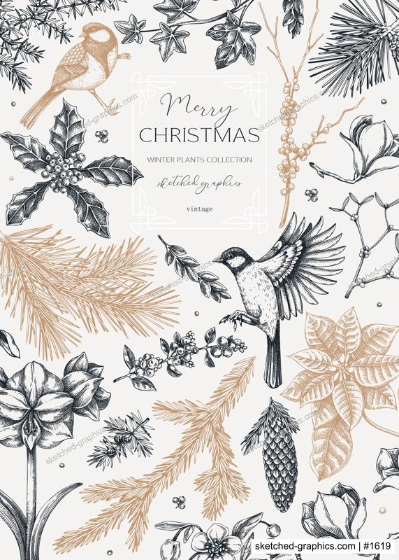 Vintage Christmas card design. Winter nature frame. Conifer trees, winter flowers, birds sketches. Hand drawn vector illustration. NOT AI generated