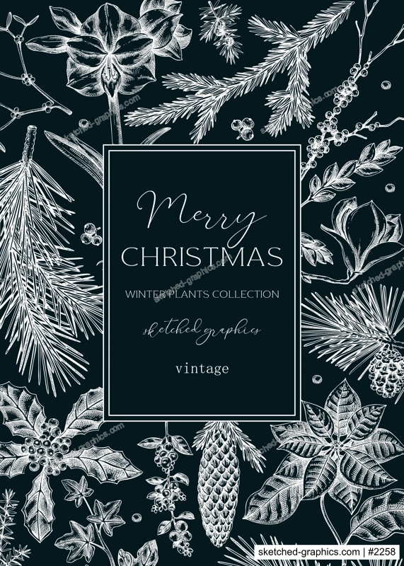 Vintage Christmas card design. Winter nature frame. Conifer trees, winter flowers  sketches. Hand drawn vector illustration on chalkboard. NOT AI generated