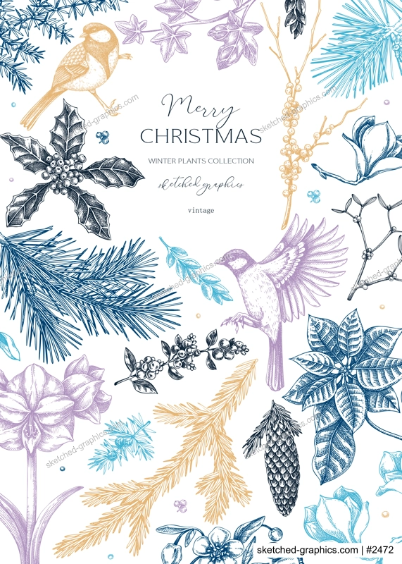 Christmas card design. Winter nature frame. Conifer trees, winter flowers, birds sketches. Hand drawn vector illustration. NOT AI generated