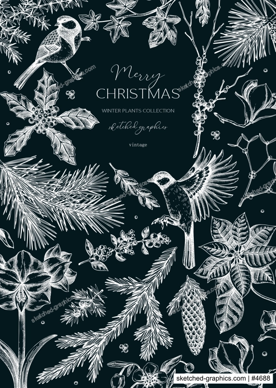 Christmas card design. Winter plants vintage frame. Conifer trees, winter flowers, birds sketches on chalkboard. Hand drawn vector illustration. NOT AI generated