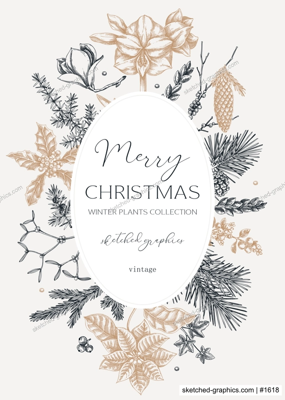 Vintage Christmas card design. Winter wedding invitation template. Conifer trees, winter flowers sketches. Hand drawn floral illustration. NOT AI generated