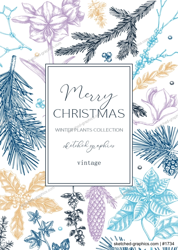Merry Christmas card design in color. Winter wedding invitation template. Conifer trees, winter flowers sketches. Hand drawn floral illustration. NOT AI generated