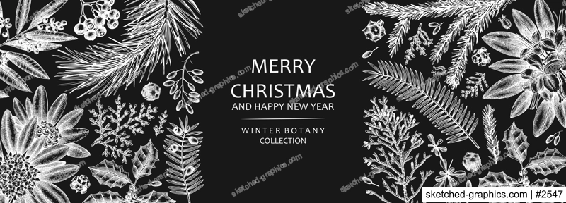 Christmas banner design on chalkboard. Vector frame with hand sketched winter flowers, evergreen plants and con. Vintage background with botanical elements. Engraved style vintage winter illustration.