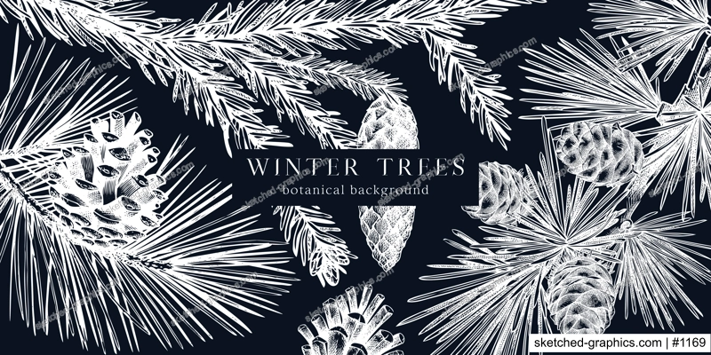 Christmas background on chalkboard. Vector frame with hand drawn conifer plants and cones sketch: fir, spruce, pine, larch. Vintage design for Christmas decoration. Winter trees botanical illustration