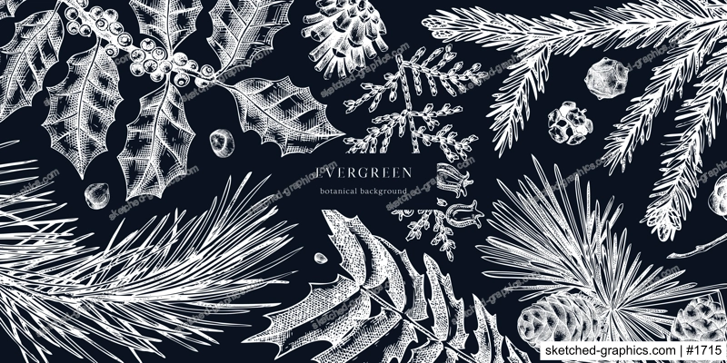 Christmas background on chalkboard. Vector frame with hand drawn conifers sketch - cypress, fir, spruce, pine, holly, yew. Vintage design for Christmas decoration. Winter trees botanical illustration
