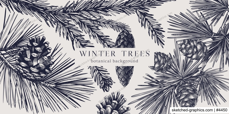 Christmas background. Vector frame with hand drawn conifer plants and cones sketch -  fir, spruce, pine, larch. Vintage design for Christmas decoration. Winter trees botanical illustration