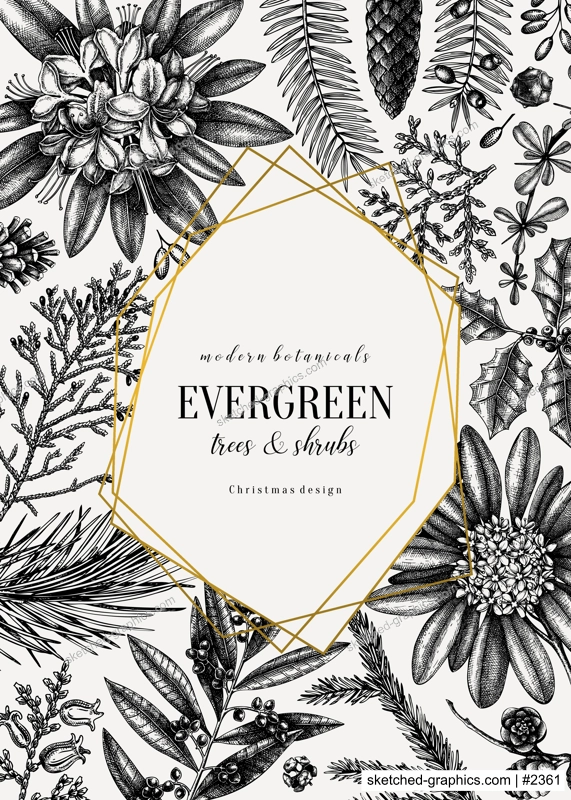 Christmas greeting card or invitation design. Golden foil elements. Vector frame with hand sketched winter flowers, conifers and evergreen plants. Vintage botanical background. Christmas template.  