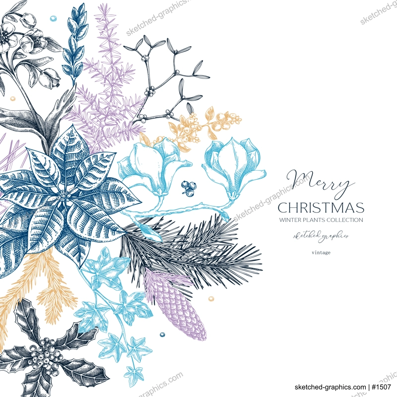 Merry Christmas card. Floral round composition. Evergreen plants, conifers, and cones sketches. Winter vector design.Hand-drawn botanical illustrations. NOT AI generated images