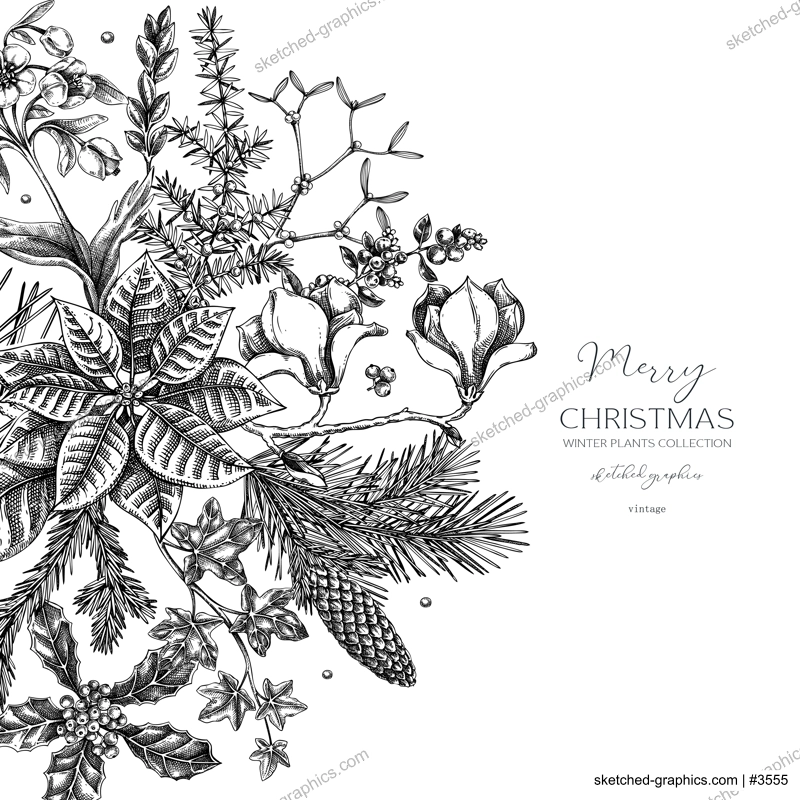 Merry Christmas card. Floral round composition. Evergreen plants, conifers, and cones sketches. Winter vector design.Hand-drawn botanical illustrations. NOT AI generated images
