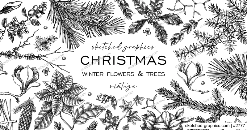 Christmas frame design. Winter flowers background. Conifer tree, evergreen plant, berry sketches. Hand drawn vector illustration. NOT AI generated