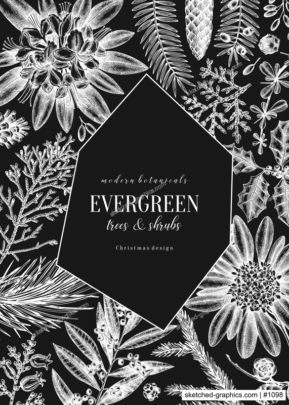 Christmas greeting card or invitation. Winter design on chalkboard. Vector frame with hand drawn winter flowers, conifers and evergreen plants. Vintage botanical background. Christmas template.