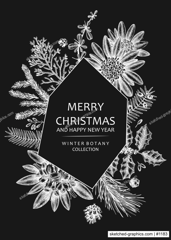 Christmas greeting card or invitation. Winter design on chalkboard. Vector frame with hand drawn winter flowers, conifers and evergreen plants. Vintage botanical background. Christmas template.  