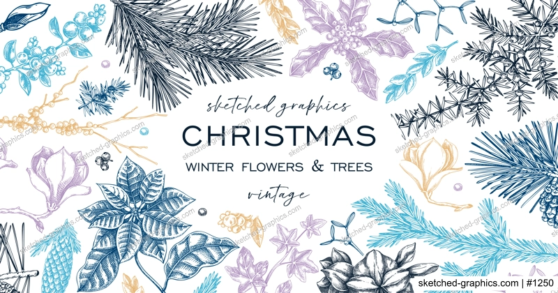 Christmas background. Winter flowers frame design. Conifer tree, evergreen plant, berry sketches. Hand drawn vector illustration. NOT AI generated