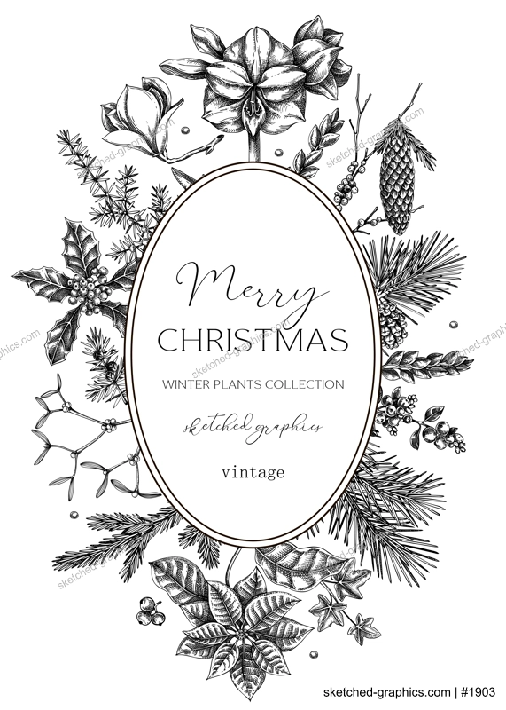 Vintage Christmas card design. Winter nature fwreath template. Conifer trees, winter flower sketches. Hand drawn vector illustration. NOT AI generated