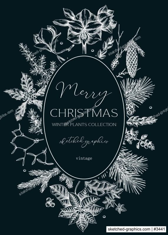 Vintage Christmas card design. Winter nature wreath template. Conifer trees, winter flowers  sketches. Hand drawn vector illustration on chalkboard. NOT AI generated