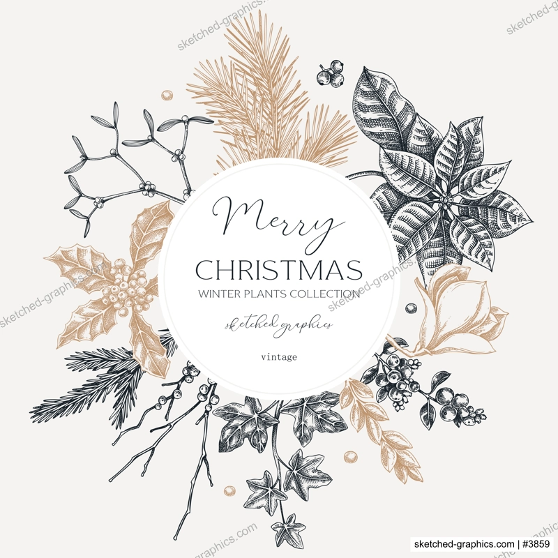 Vintage Christams card template. Winter holiday wreath design. Conifer trees, winter flowers sketches. Hand-drawn botanical illustration. NOT AI generated
