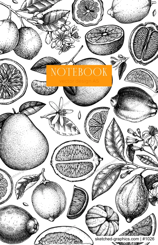 Citrus fruit cover design. Hand drawn vector illustration. Healthy food sketches. Engraved summer background. NOT AI generated