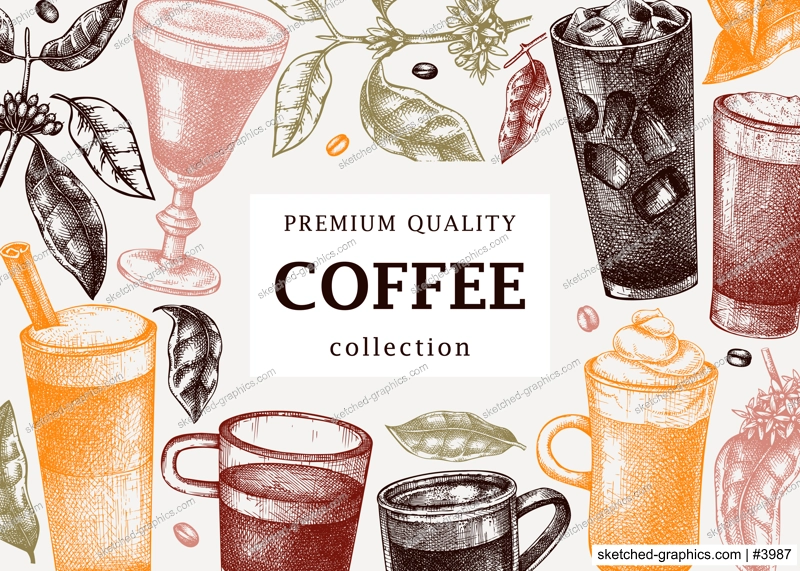 Hand-sketched coffee banner template in color. Vector sketches of mugs with aromatic caffeine drinks. With botanical coffee plants, leaves and beans in vintage style. Vector beverage background design