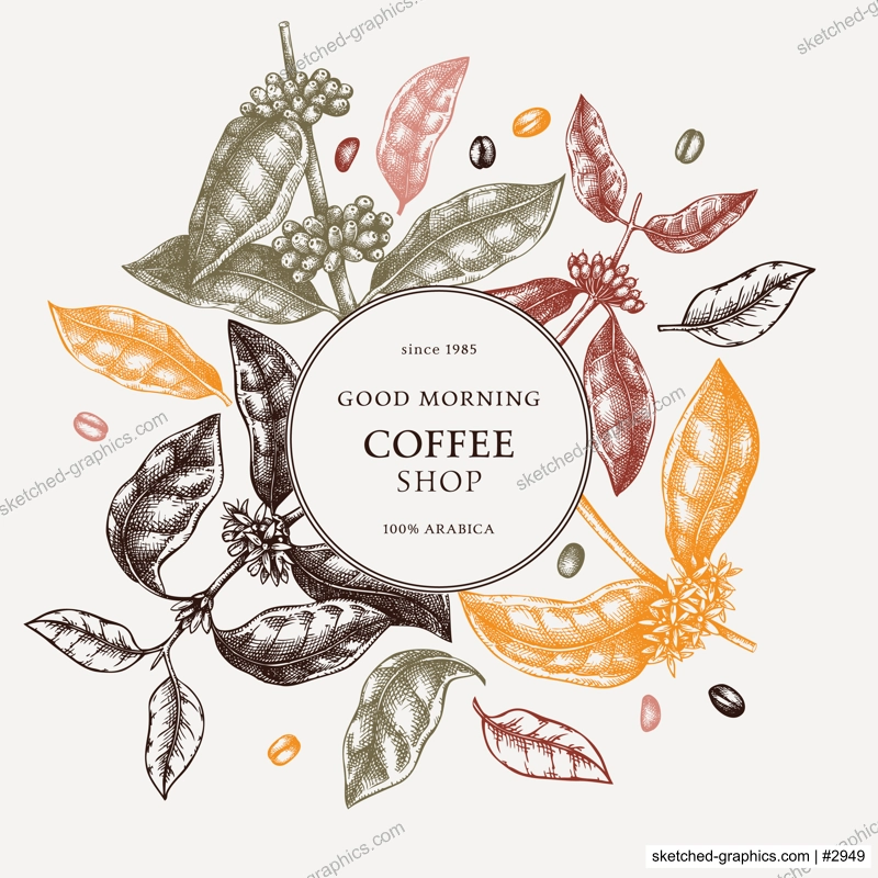 Hand sketched coffee wreath design in color. Perfect for recipe, menu, label, icon, packaging. Vintage coffee plant template with leaves, beans and flowers. Bar menu elements. Botanical illustration