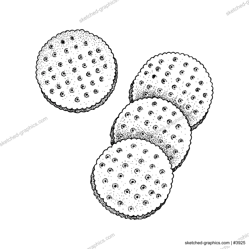 Crunchy cracker cookies vector illustrations set. Delicious biscuits sketches for finger food or desserts design elements. Dry snacks isolated on white background. Healthy homemade pastries drawings