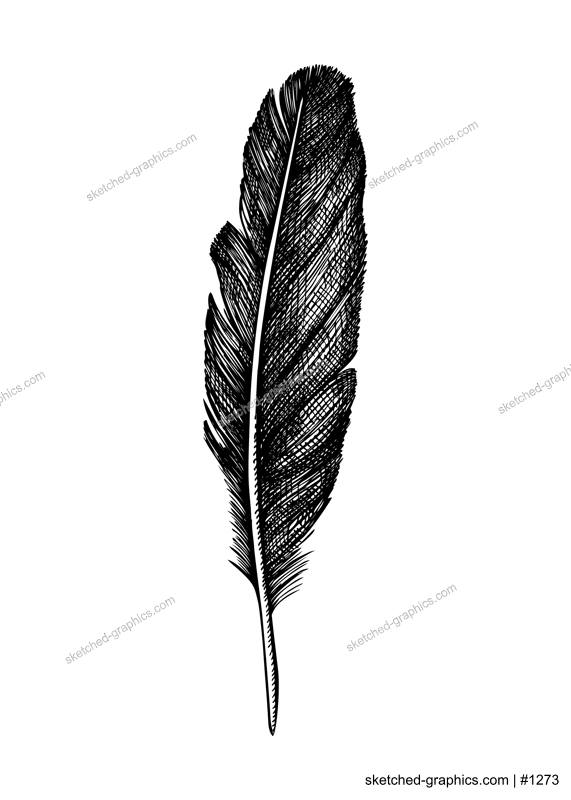 Hand drawn boho design element in graphic style. Crow feather sketch isolated on white. Vector magic illustration for witchcraft, alchemy, Halloween decor. 