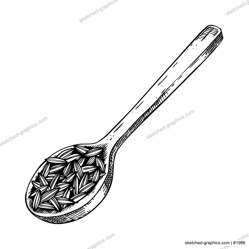 Cumin seeds in spoon sketch. Kitchen spice drawing. Indian herbs and spices hand-drawn vector illustration. NOT AI genereted