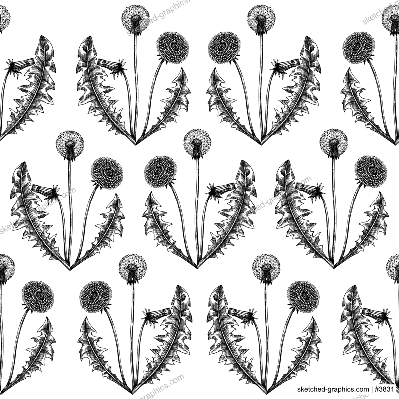 Dandelion seamless pattern. Hand-sketched medicinal herb background. Perfect for brands, label, packaging, wrapping. Botanical illustrations. Dandelion backdrop